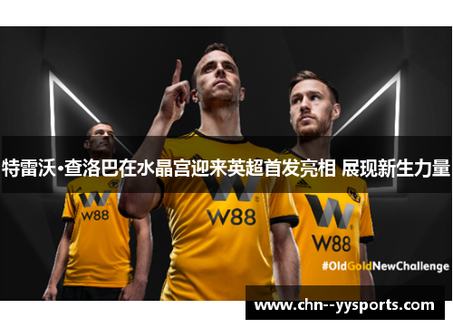 特雷沃·查洛巴在水晶宫迎来英超首发亮相 展现新生力量