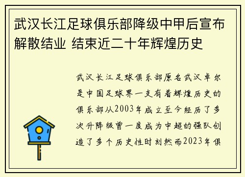 武汉长江足球俱乐部降级中甲后宣布解散结业 结束近二十年辉煌历史 武汉长江足球俱乐部降级中甲后宣布解散结业 结束近二十年辉煌历史